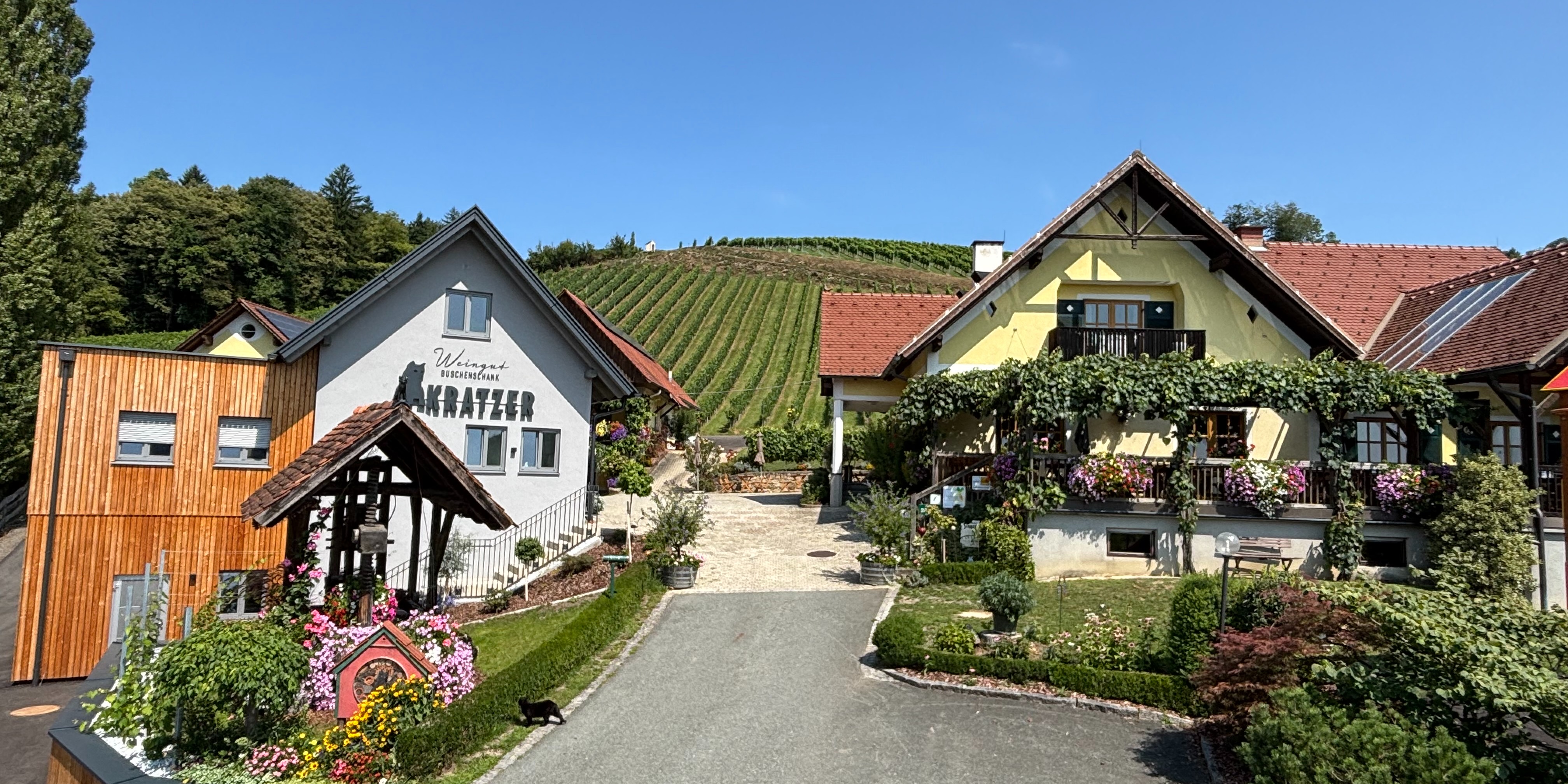 Wein vom Weingut Kratzer